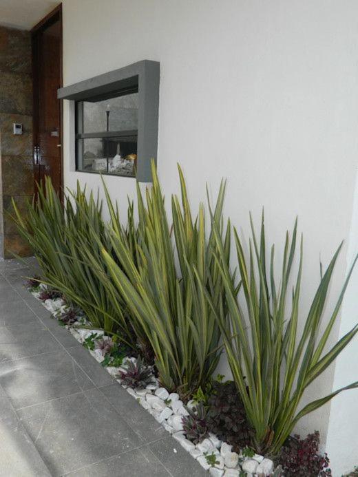 Apartamento Erita Apartment Alicante Ngoại thất bức ảnh